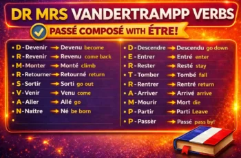 DR MRS VANDERTRAMP Verbs: The Only List You’ll Ever Need (With Examples & Mistakes To Avoid)